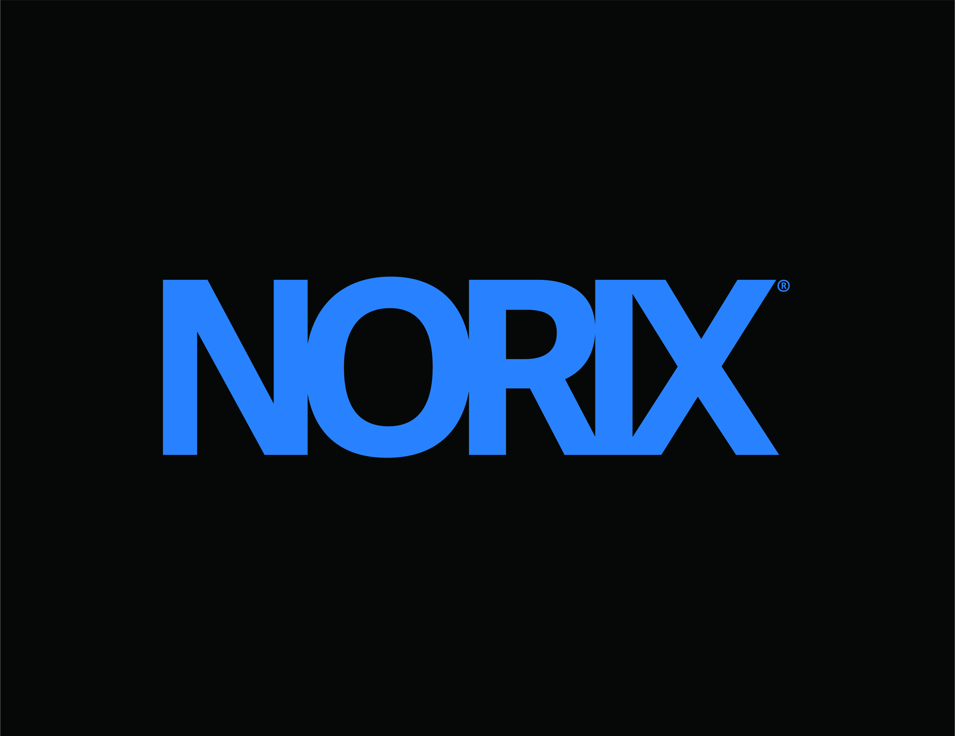 Norix Group, Inc. logo.